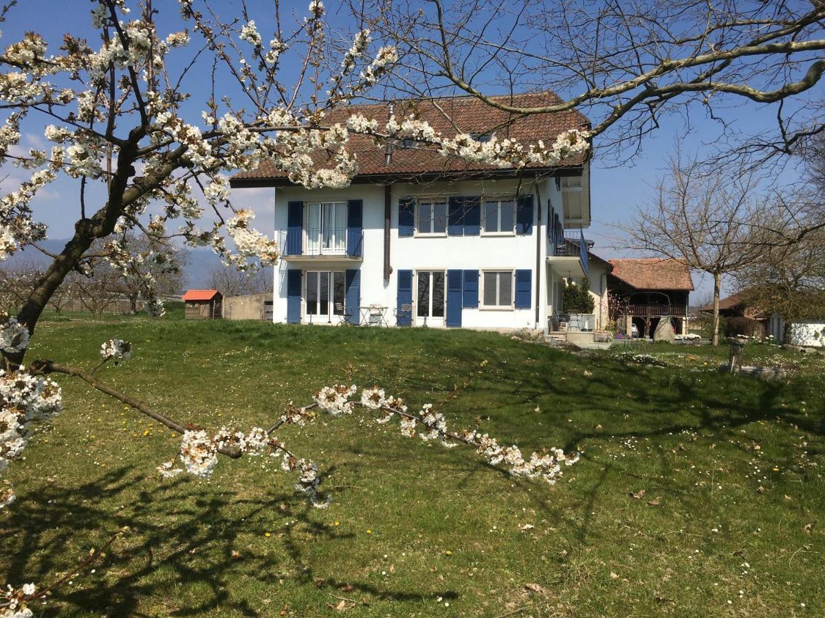 B&B Domaine En Trembley Commugny Екстер'єр фото