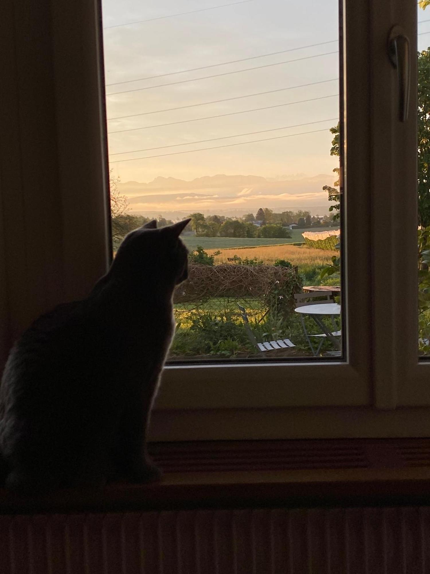 B&B Domaine En Trembley Commugny Екстер'єр фото