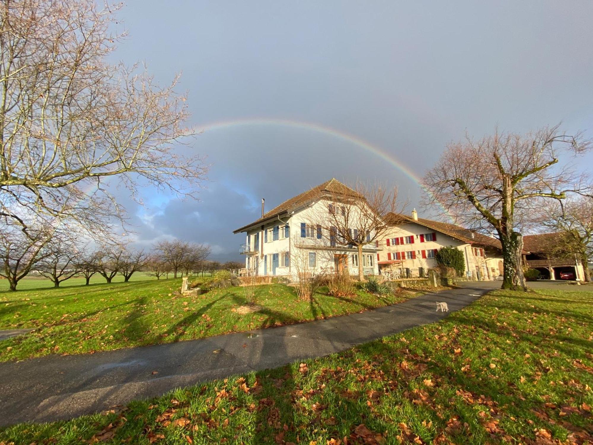B&B Domaine En Trembley Commugny Екстер'єр фото