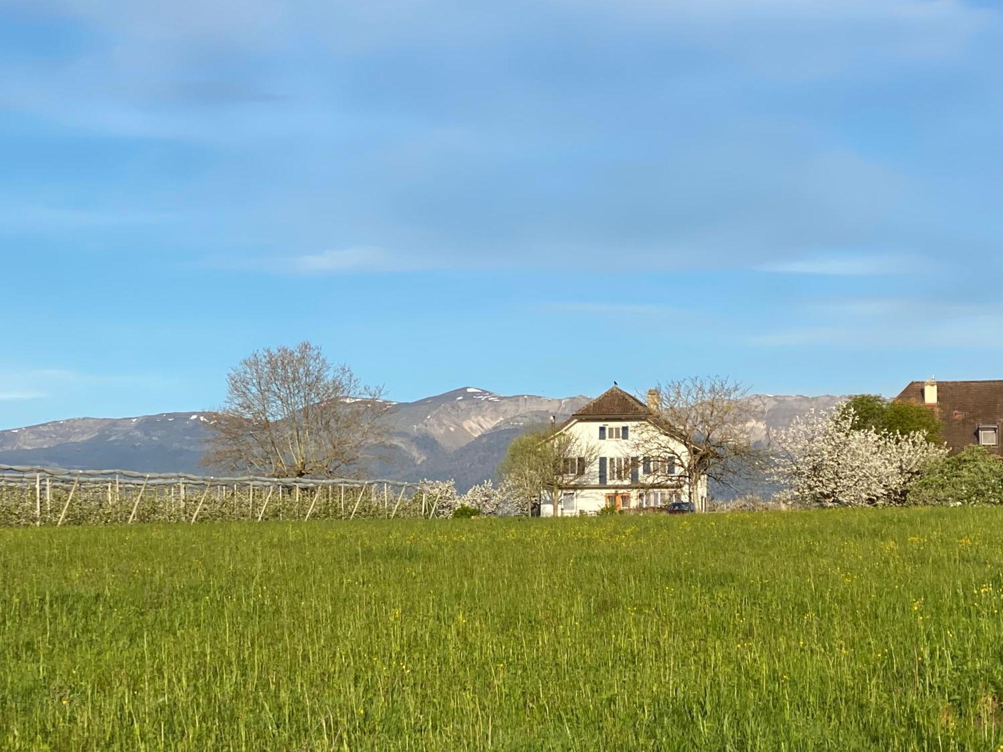 B&B Domaine En Trembley Commugny Екстер'єр фото