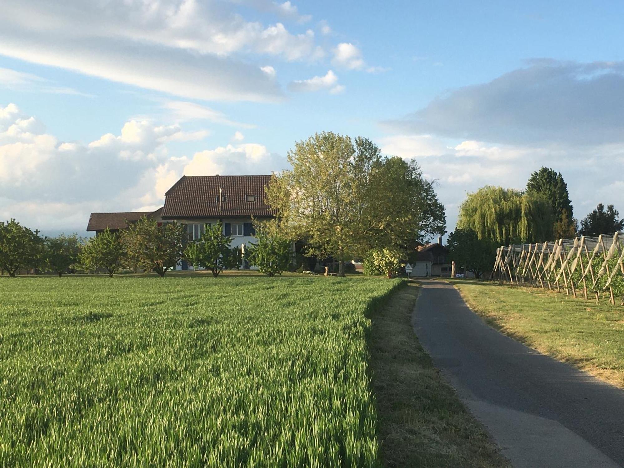 B&B Domaine En Trembley Commugny Екстер'єр фото