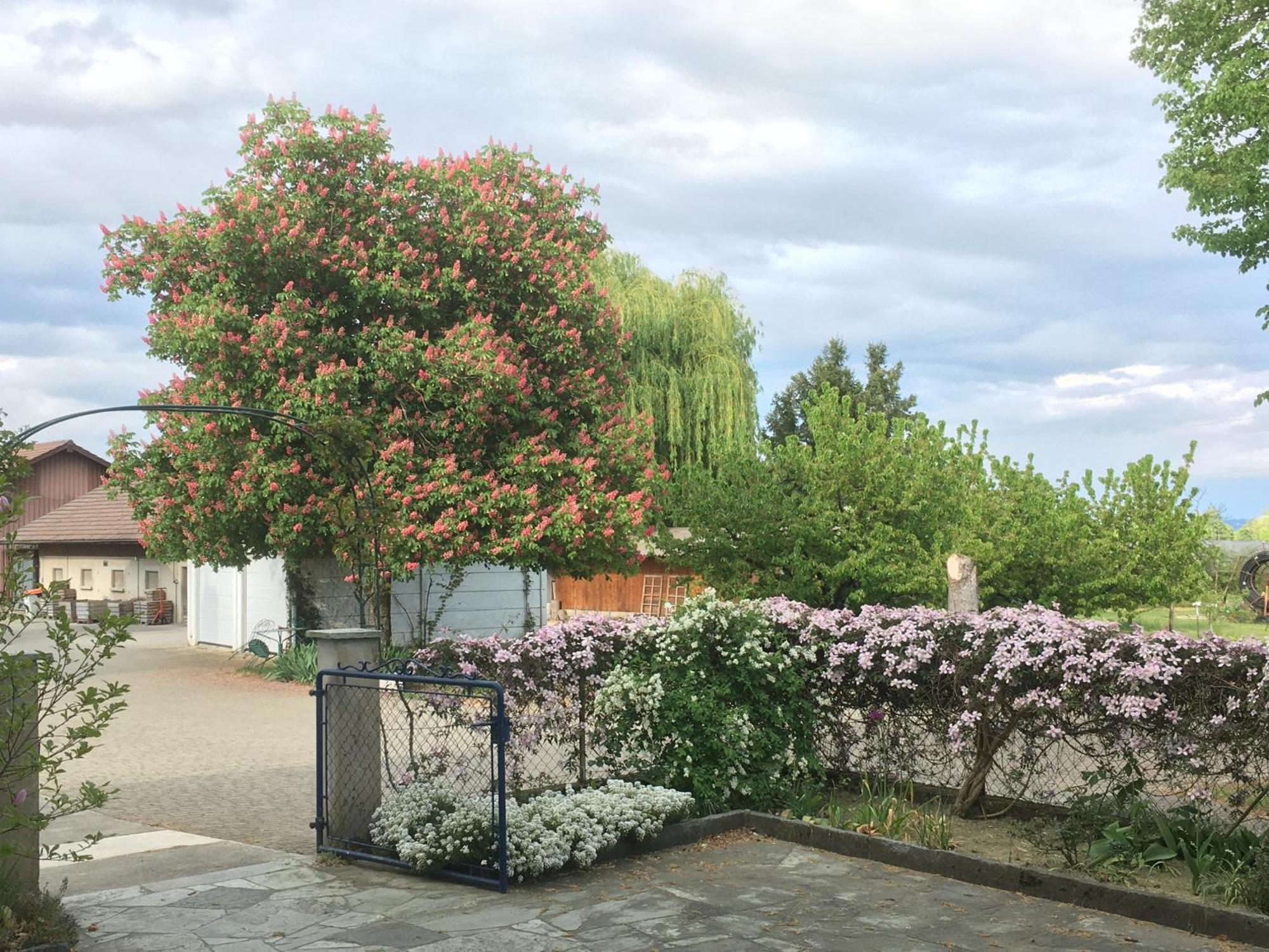 B&B Domaine En Trembley Commugny Екстер'єр фото