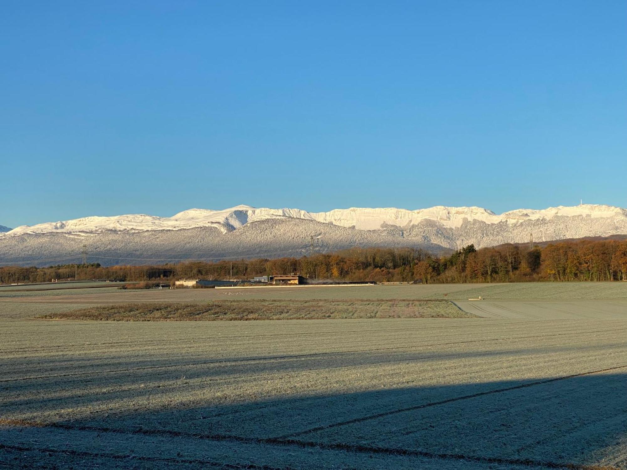 B&B Domaine En Trembley Commugny Екстер'єр фото