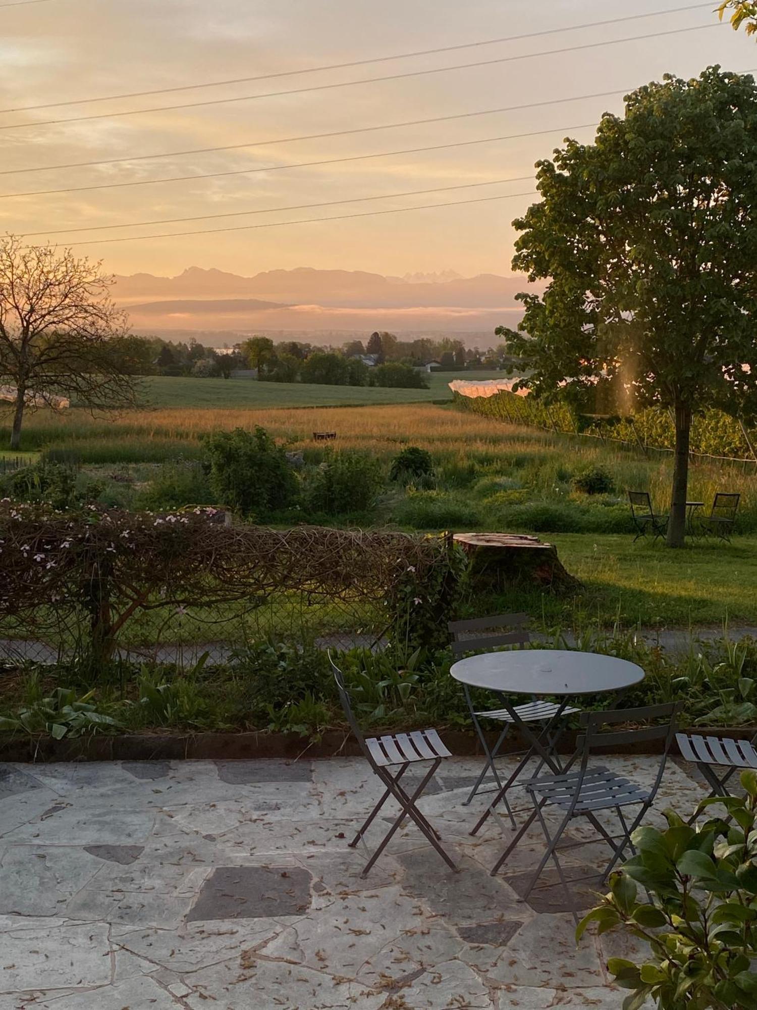 B&B Domaine En Trembley Commugny Екстер'єр фото