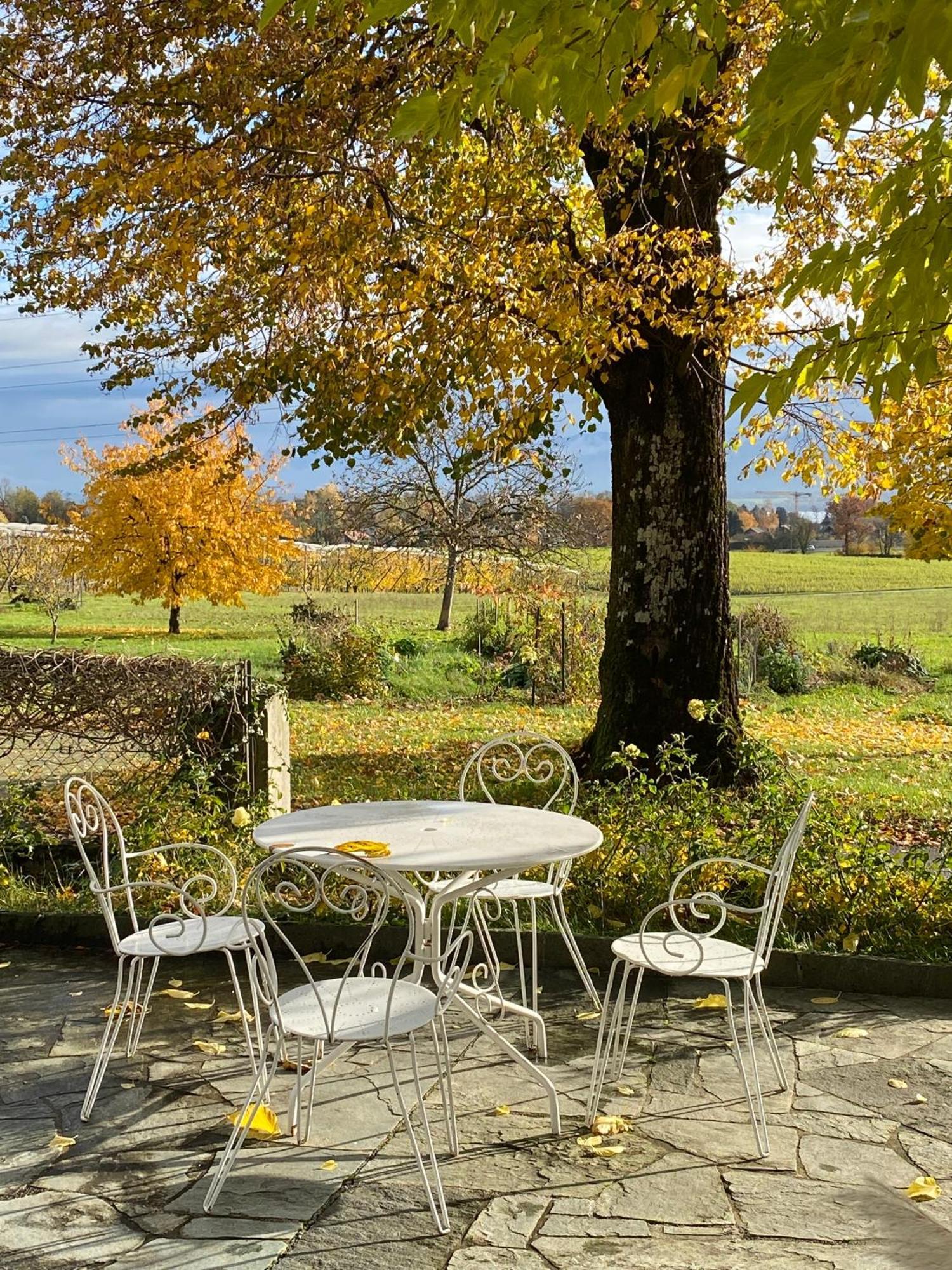 B&B Domaine En Trembley Commugny Екстер'єр фото