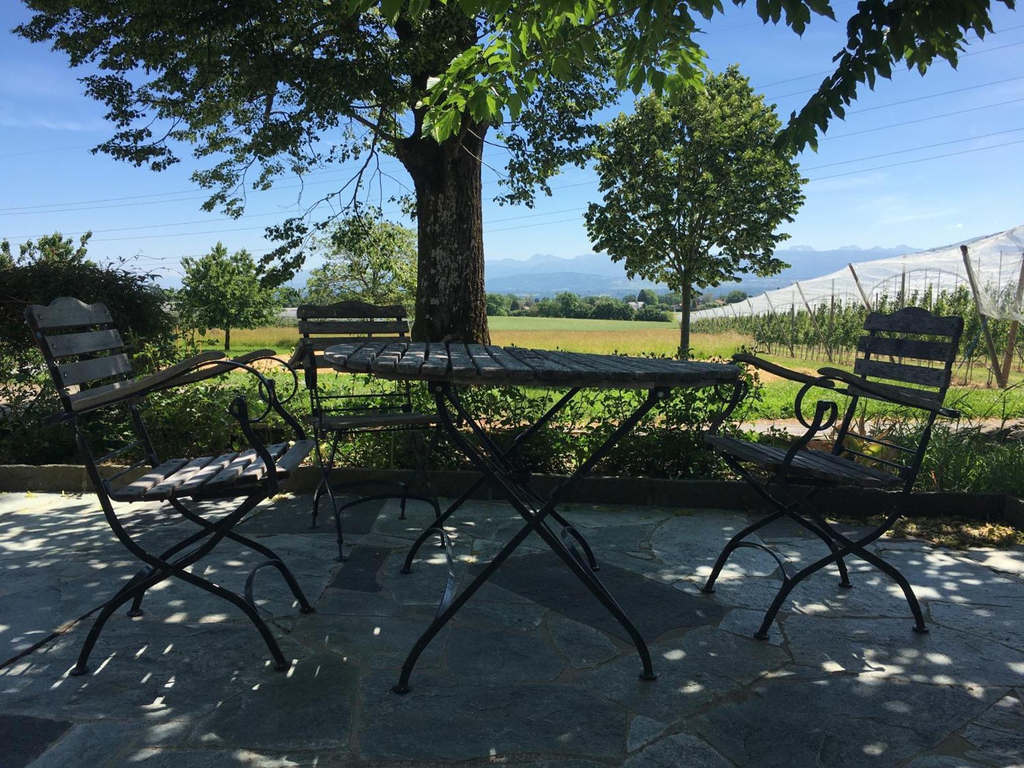 B&B Domaine En Trembley Commugny Екстер'єр фото