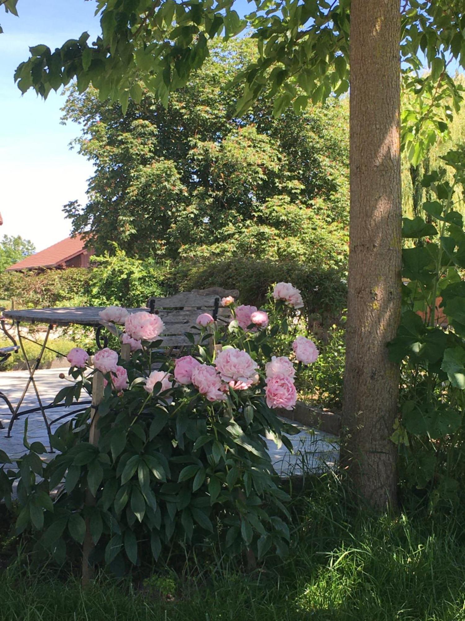 B&B Domaine En Trembley Commugny Екстер'єр фото
