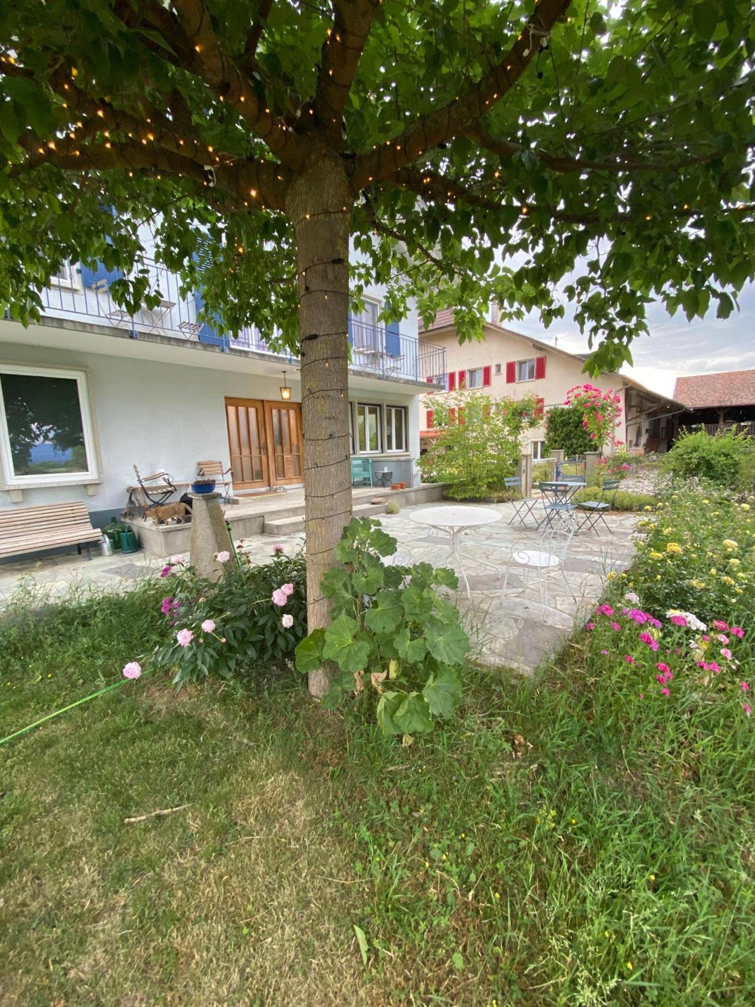 B&B Domaine En Trembley Commugny Екстер'єр фото