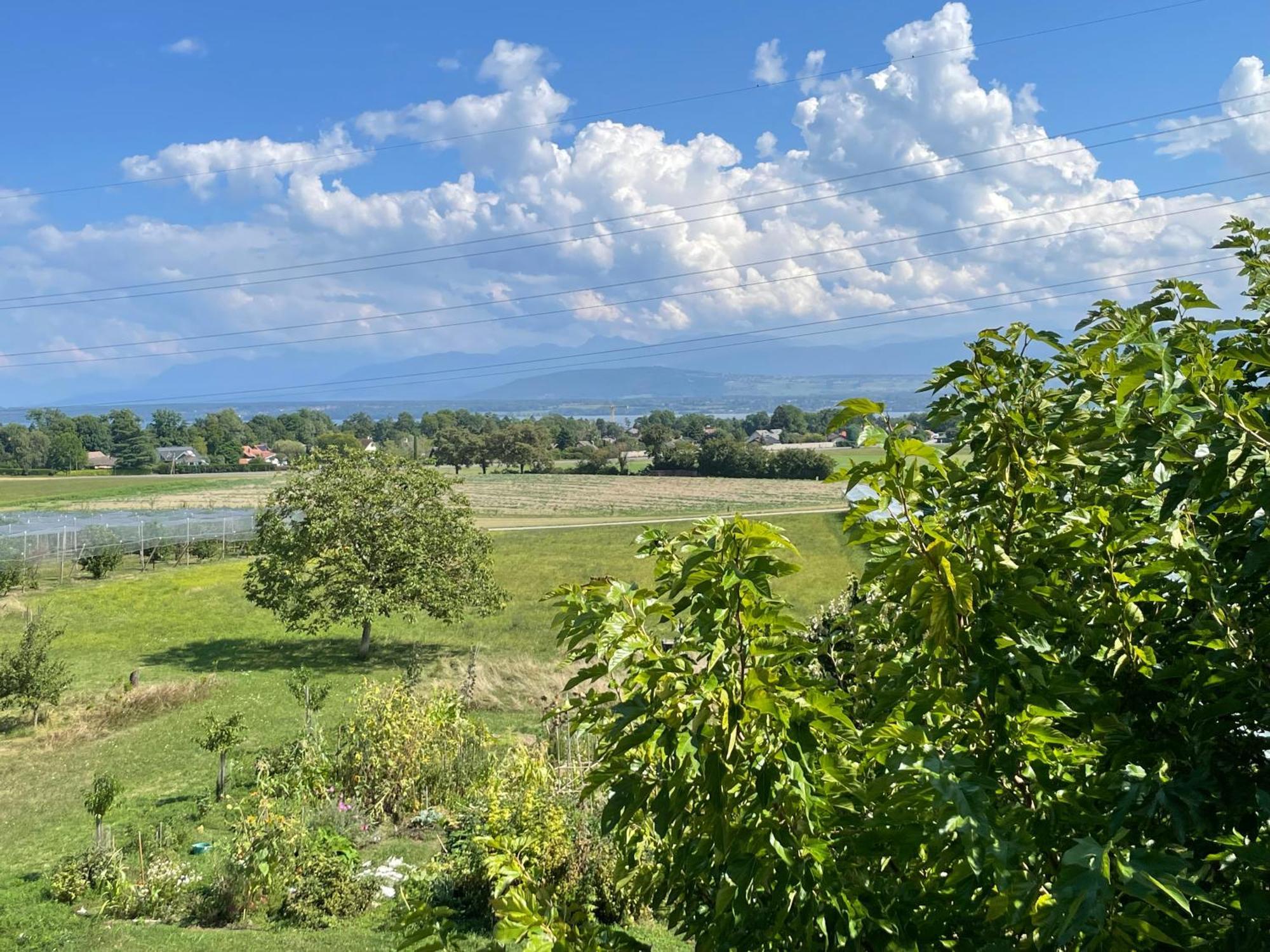 B&B Domaine En Trembley Commugny Екстер'єр фото